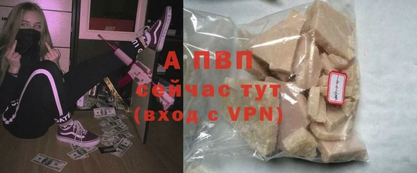 ПСИЛОЦИБИНОВЫЕ ГРИБЫ Гусиноозёрск