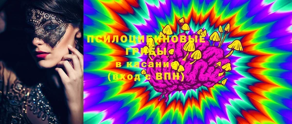 ПСИЛОЦИБИНОВЫЕ ГРИБЫ Гусиноозёрск