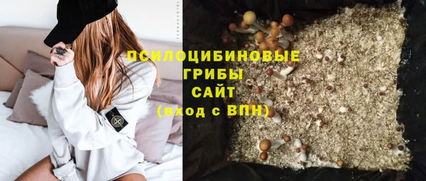 ПСИЛОЦИБИНОВЫЕ ГРИБЫ Гусиноозёрск