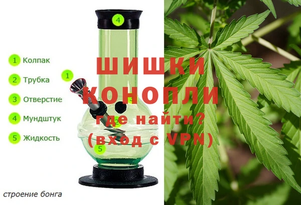 хмурый Гусев