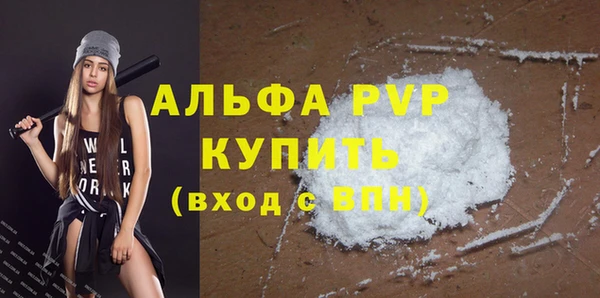 хмурый Гусев