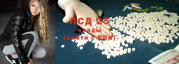 хмурый Гусев