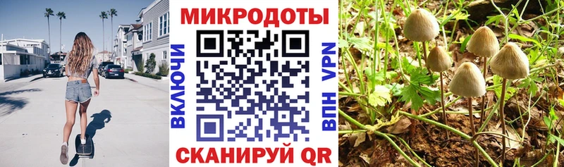Галлюциногенные грибы ЛСД  наркотики  Жердевка 