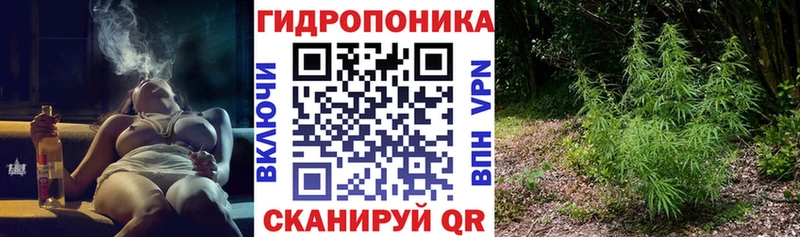 Марихуана сатива  Жердевка 